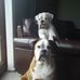 Gena Hamilton - Facebook
