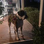Gina Hubbard - @ginalh12 - Instagram