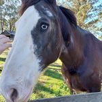 Gina Morrison - @gina.morrison.104 - Instagram