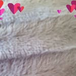 Gena Phillips - @gena.phillips.338 - Instagram