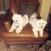 Gena Meadows Rivers - Facebook