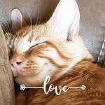 Gena Rodgers - @hellokittycats23 - Instagram