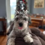 Gina Rodgers - @ginarodgers - Instagram