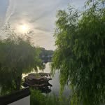 Gina Schwartz - @ginaschwartz601 - Instagram