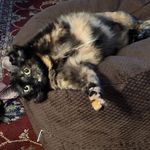 Gina Sherman - @gina.sherman.9 - Instagram