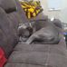 Gena Stephens - Facebook