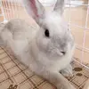 Gina.Stevens - @xdoylykz1av - TikTok