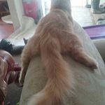 Gena Webb-Enloe - @webbenloe - Instagram