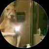 Genaro Jiménez - @genaro.jimnez72 - TikTok