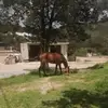 Genaro Macias - @genaro.macias17 - TikTok
