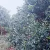 genaromenchaca2 - @genaromenchaca2 - TikTok
