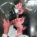 Genaro Moran - Facebook