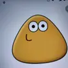 Genaro Piña717 - @genaroelpro31245 - TikTok