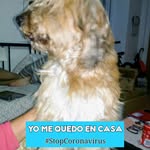 Genaro Pina Lopez - @pinalopezgenaro - Instagram