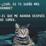 Genaro Quezada - @genaro.quezada.3576 - Instagram