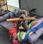 Eugene Appleton - Facebook