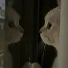 user5218881816182 - @genesisarcher484905 - TikTok
