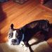 Gene Ball - Facebook
