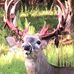 Gene Ballard - Facebook