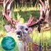 Gene Ballard - Facebook