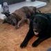 Gene Baxter - Facebook