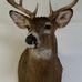 Gene Bay - Facebook