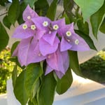Becky Gene Becker - @genbec1061 - Instagram