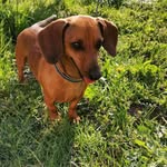 BLAIR - @gene_blairs3s6 - Instagram