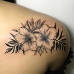Blair - @geneblair.nrds - Instagram