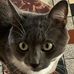 Genevieve Bloch - Facebook