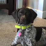 Brooksifer Gene Bloom - @brooksifergenebloom - Instagram