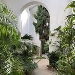 Tamanka Gene Bloom - @tatianachafcouloftgb - Instagram