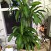Gene Bond - Facebook