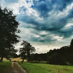 Gene - @gene.booth__tv - Instagram