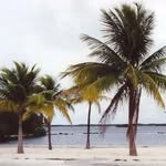 Gene Brennan - @gene.b2023 - Instagram