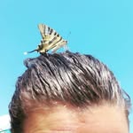 Gene - @_____gene_brucep50 - Instagram