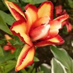 Gene - @gene_bruce_bq6.6 - Instagram