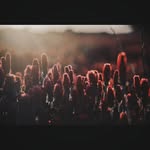 Gene - @gene_____burtonzdru - Instagram