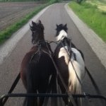 Geert Van Bussel - @geertvb100 - Instagram