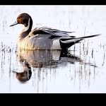 Eugene Byrd - @eugene_byrd_ - Instagram
