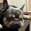 Gene Carroll - @gene.carroll - TikTok