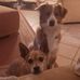 Genny Cervelli - Facebook