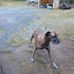 Gene Chambers - Facebook