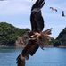 Gene Chen - Facebook