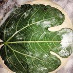 Cherry Moon General Store - @cherrymoongeneralstore - Instagram