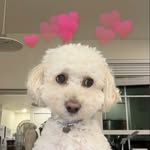 Eugene Chung - @evgenechung - Instagram