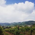 @gene_clay_2015 - Instagram