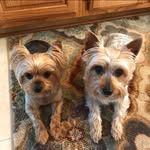 Eugene Covey - @genefromva - Instagram
