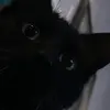 genecraftt - @genecraftt - TikTok