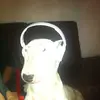 Crimo Gene - @crimogene - TikTok